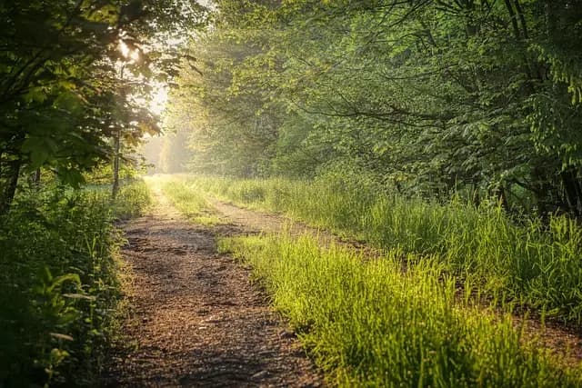 10 Effective Strategies for Boosting Your Success Journey