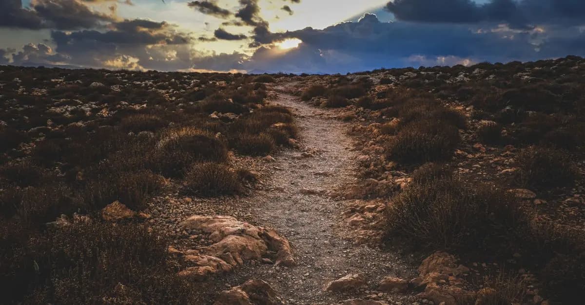 10 Mindset Shifts to Boost Your Path to Success