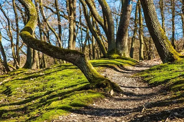 How to Define Your Unique Path to Success