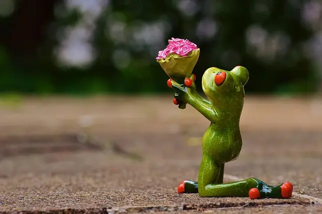 Top 5 Mindset Changes to Enhance Your Success Journey