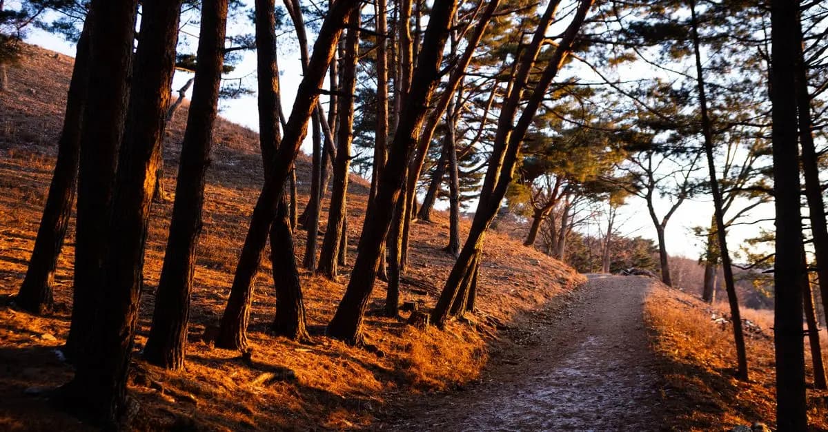 How to Identify Your Unique Success Path Clearly
