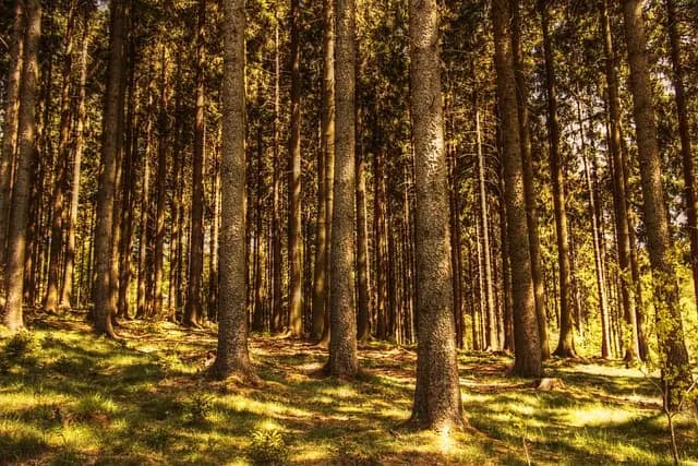 10 Essential Steps to Define Your Unique Path to Success