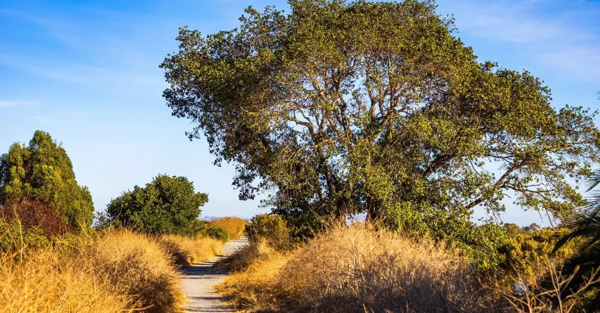 10 Strategies to Stay Resilient on Your Path to Success