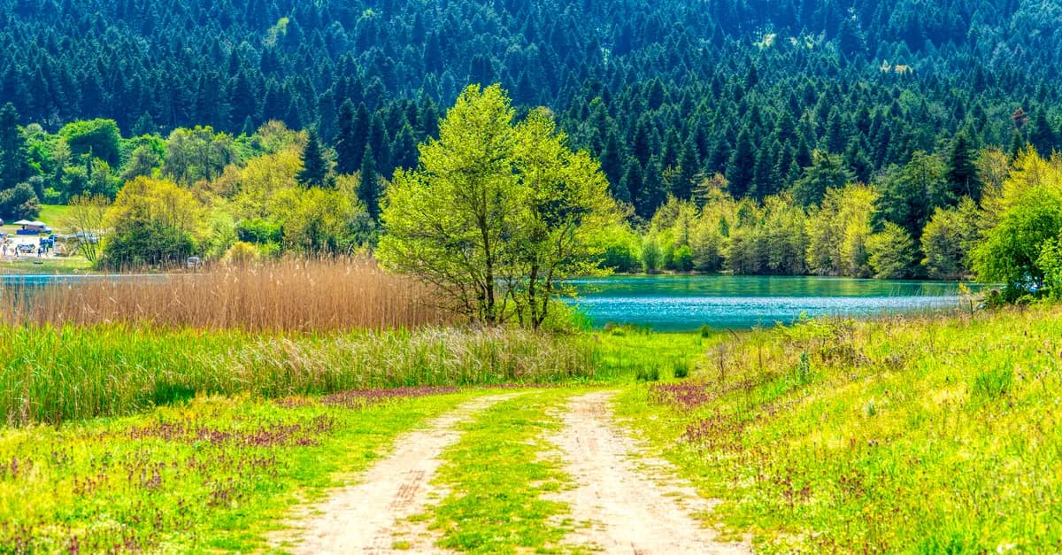 How to Craft a Success Roadmap for Personal Growth
