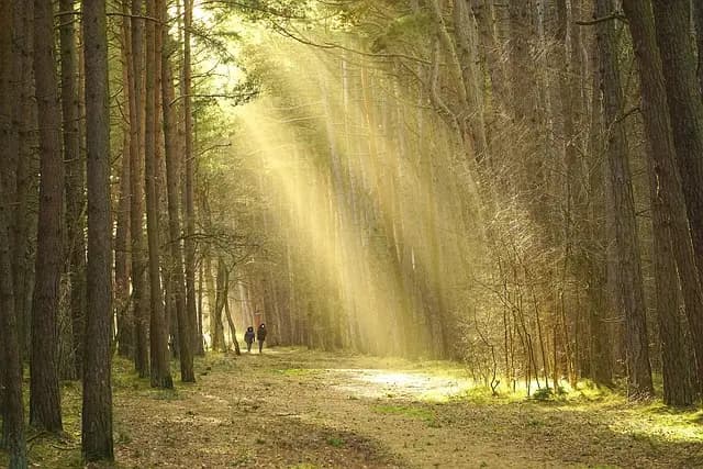 How to Create a Clear Action Plan for Your Success Journey