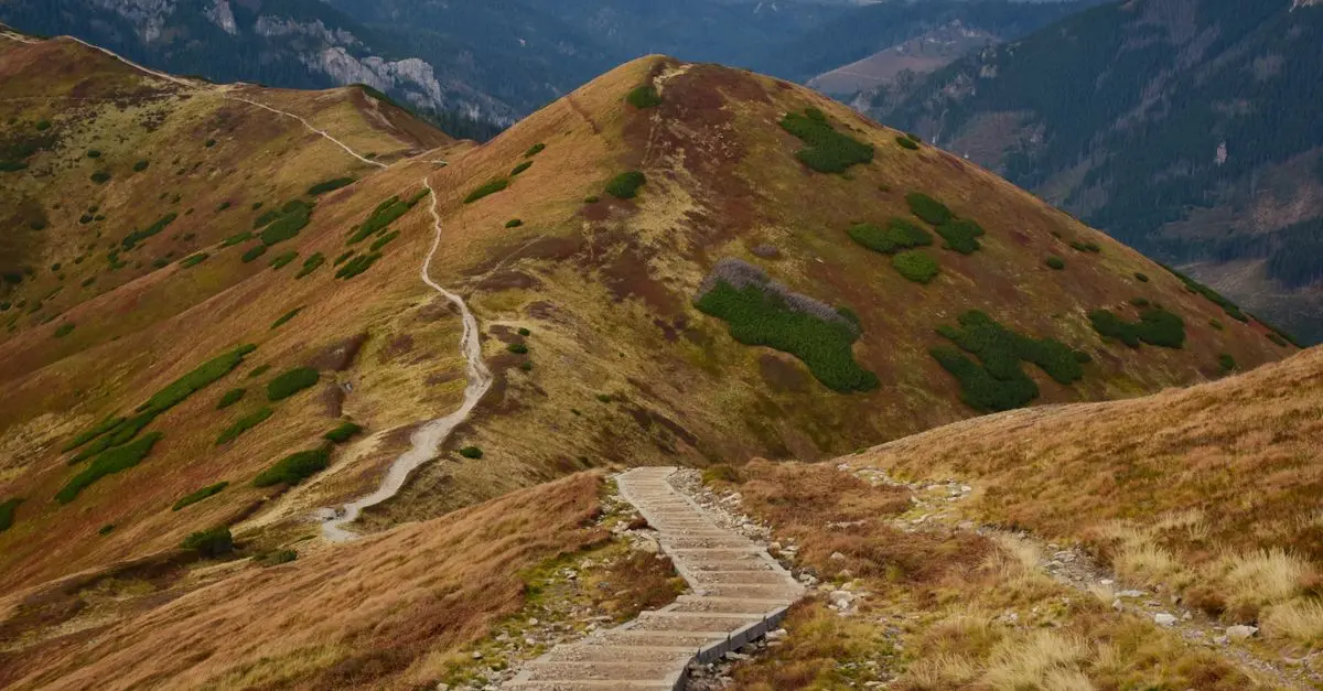 How to Develop a Personal Success Plan for Achieving Goals