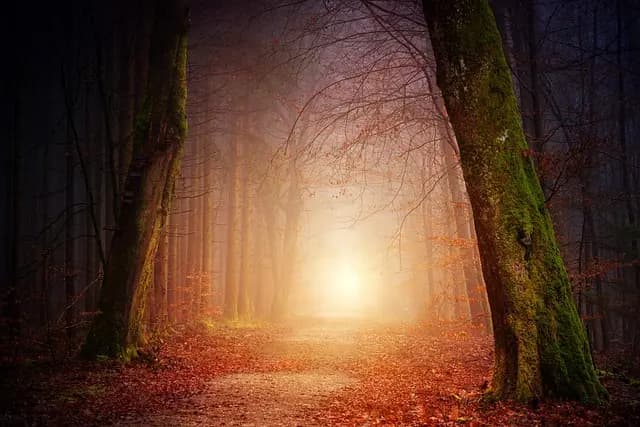 5 Proven Steps to Craft Your Unique Path to Success