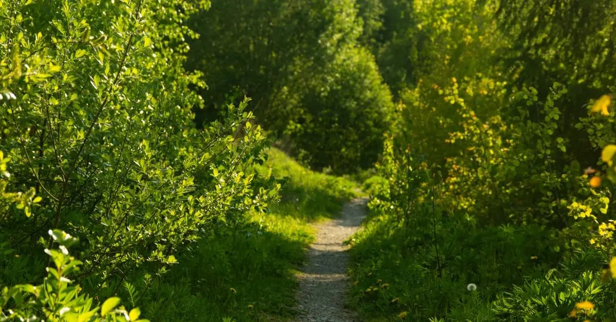 10 Strategies to Overcome Obstacles on Your Path to Success