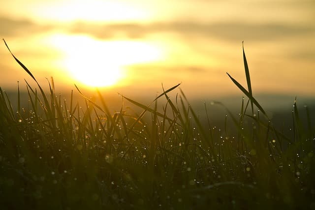 How to Build a Positive Mindset for Your Success Journey