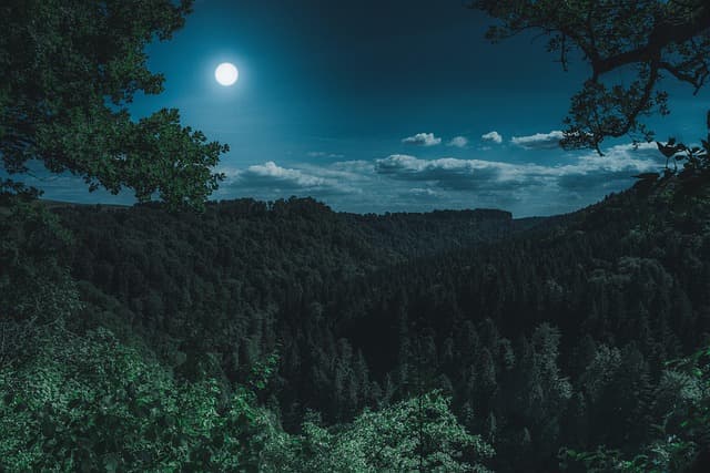 How to Navigate Your Unique Path to Success Effectively