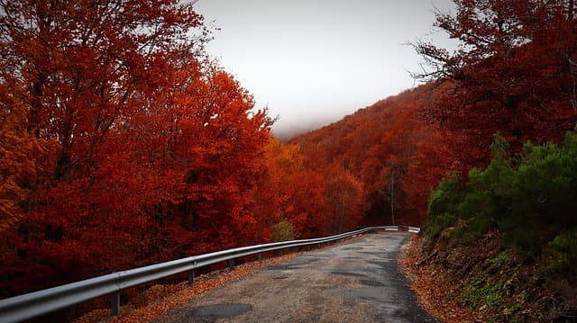 10 Essential Tips for Defining Your Unique Success Path