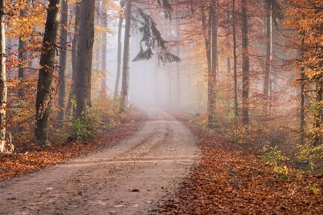 10 Key Indicators of Success You Should Know