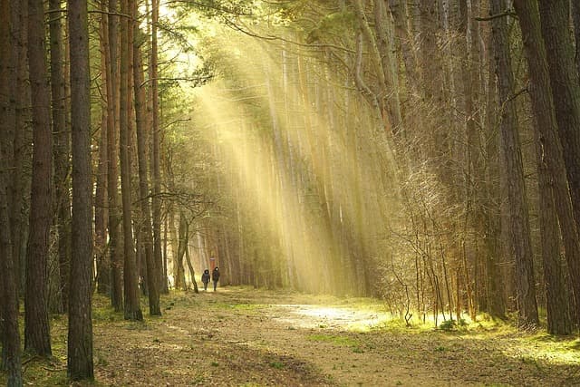 10 Essential Tips for Mapping Your Path to Success
