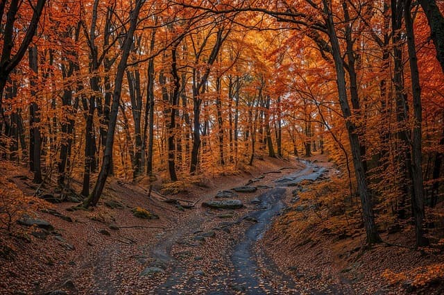10 Essential Steps to Take on Your Path to Success